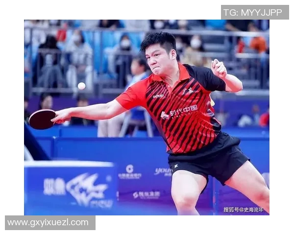 乒乓球团队协作实力大比拼杭州乒乓球队荣登第五名荣耀榜单